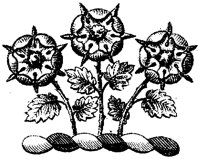 HRC149L.TIF