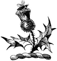 HRC148I.TIF