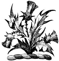HRC148G.TIF