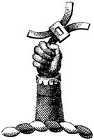 HRC207D.TIF