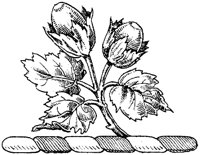 HRC272E.TIF