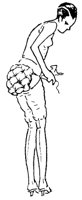 SIL080E.TIF