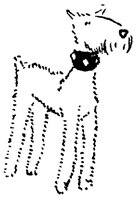 SIL121C.TIF