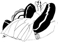 SIL006H.TIF