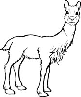 AAL022E.TIF