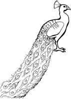 AAL016C.TIF