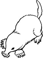 AAL013C.TIF