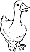 AAL004C.TIF