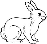 AWH027B.TIF