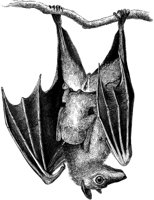 AMB095C.TIF