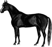 AMB080B.TIF