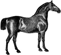 AMB080A.TIF