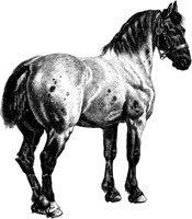 AMB076A.TIF