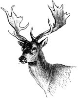 AMB074F.TIF