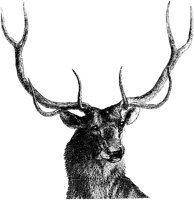 AMB074D.TIF