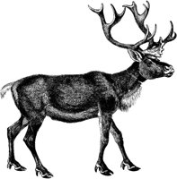 AMB074C.TIF