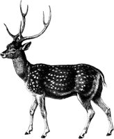 AMB072C.TIF