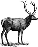AMB072A.TIF