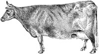 AMB067H.TIF