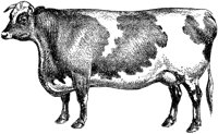 AMB067F.TIF