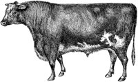 AMB067D.TIF