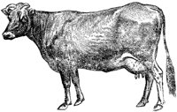 AMB067C.TIF