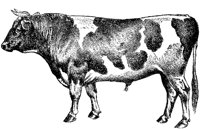 AMB067B.TIF