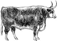 AMB067A.TIF