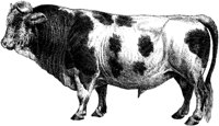 AMB066B.TIF