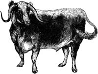 AMB064B.TIF