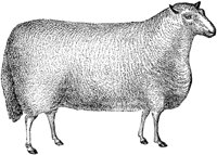 AMB061E.TIF