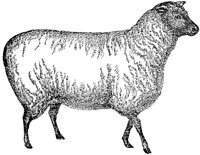 AMB061C.TIF
