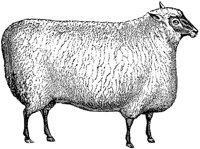 AMB061A.TIF