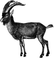 AMB060C.TIF