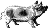 AMB055D.TIF