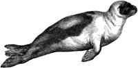 AMB044B.TIF