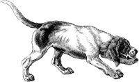 AMB039B.TIF