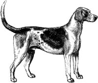 AMB034C.TIF