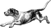 AMB033C.TIF