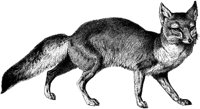 AMB032D.TIF