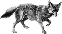 AMB032C.TIF
