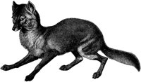 AMB031D.TIF