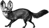 AMB031C.TIF