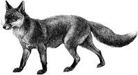 AMB031A.TIF