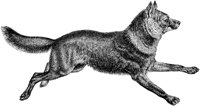 AMB028C.TIF