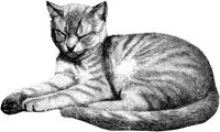 AMB026C.TIF