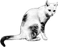 AMB026B.TIF