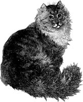 AMB025C.TIF