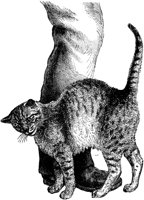 AMB024B.TIF
