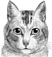 AMB022B.TIF
